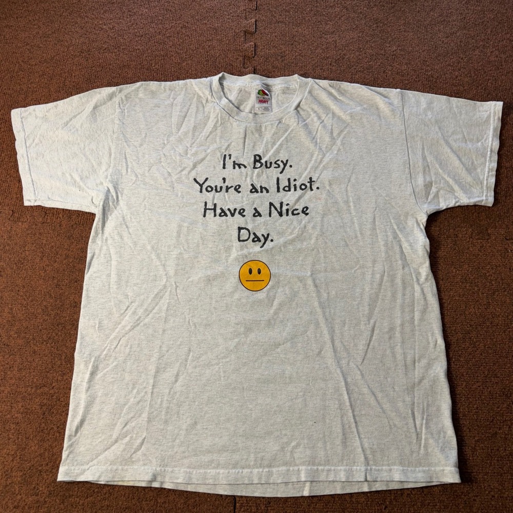 Fruit of the Loom Mens XL Gray Sarcastic Graphic T-Shirt Im Busy Youre an Idiot